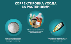 Otkorrektirujte-uhod-za-rasteniyami__t4zc6T5jK6Dcr6w0.jpg Otkorrektirujte-uhod-za-rasteniyami__t4zc6T5jK6Dcr6w0.jpg