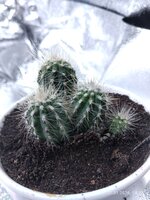 IMG_20260122_182334.jpg IMG_20260122_182334.jpg