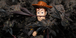 Снимок экрана 2026-02-21 010439.png