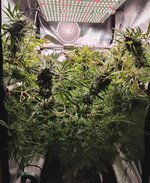 DAY 141 23.03 (3).jpg