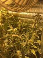 2 — копия — копия.jpg