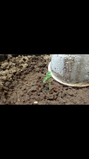 Screenshot_2022-06-16-21-59-26.png Screenshot_2022-06-16-21-59-26.png