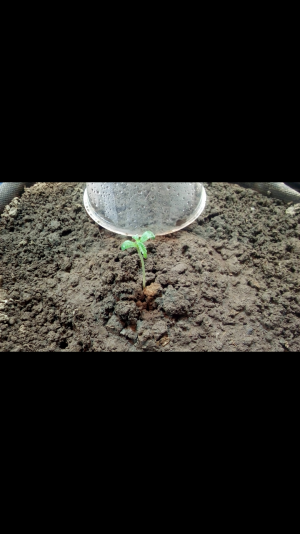 Screenshot_2022-06-16-21-59-38.png Screenshot_2022-06-16-21-59-38.png