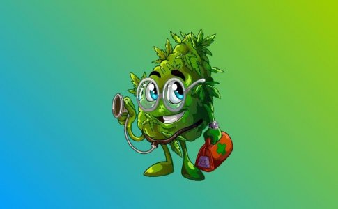 Все о питательных веществах для конопли