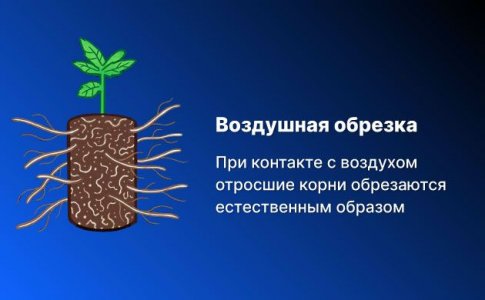 Воздушная обрезка против ручной