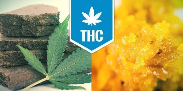 Hashish-Concentrates.jpg Hashish-Concentrates.jpg