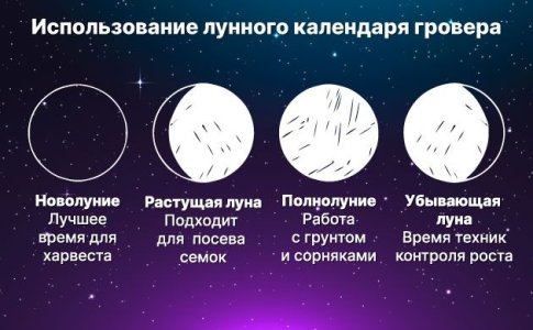 Выращивание конопли по лунному календарю гровера Выращивание конопли по лунному календарю гровера