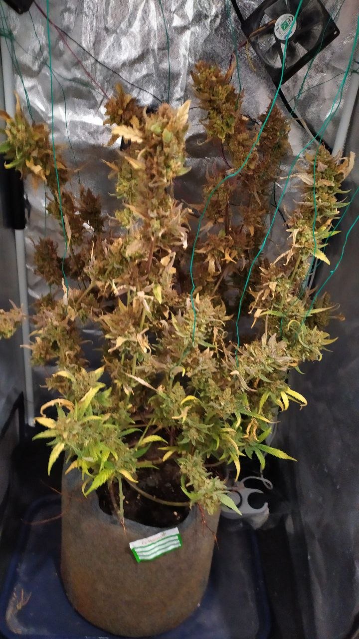 photo_2023-01-21_20-06-43 (2).jpg