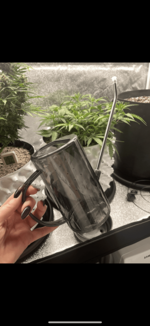 IMG_7666.png IMG_7666.png