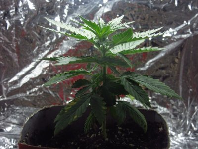 photo_2023-07-09_18-34-31 (2).jpg