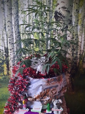 Notes_211229_132229_33e.jpg Notes_211229_132229_33e.jpg