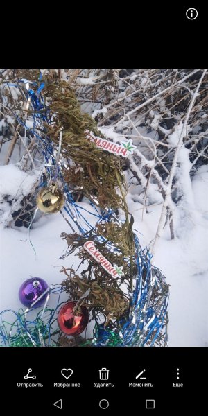 Screenshot_20211229-162054.jpg Screenshot_20211229-162054.jpg