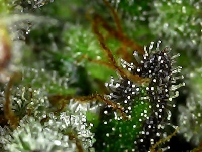 Sat Jan 20 20-10-32.jpg