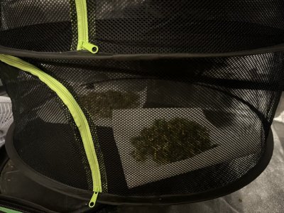 IMG_5032.jpeg IMG_5032.jpeg