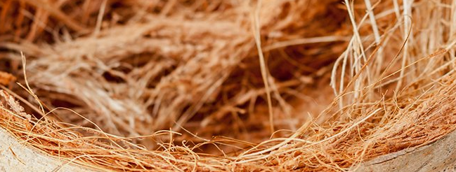 1645016462218.png 1645016462218.png