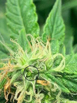 IMG_6878.jpeg IMG_6878.jpeg