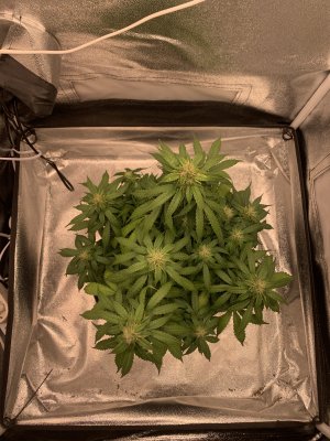 IMG_6895.jpeg IMG_6895.jpeg