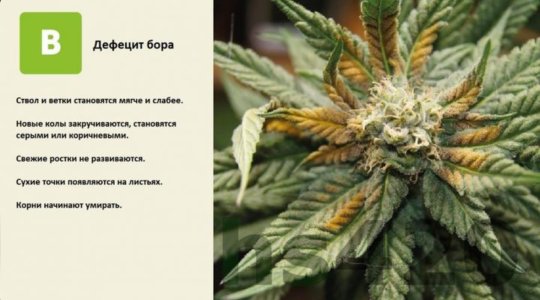 IMG_6432.jpeg IMG_6432.jpeg